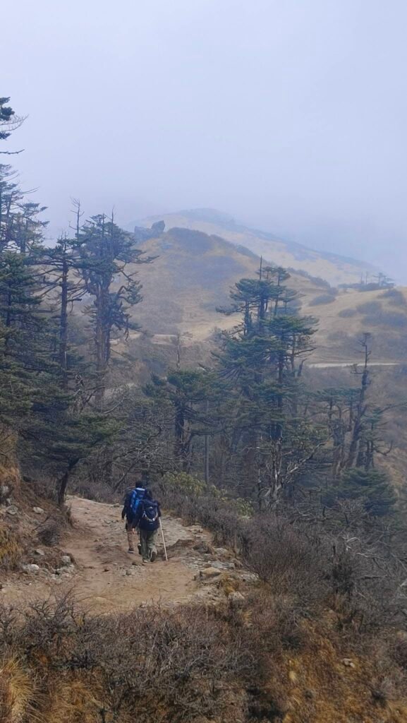 Mountain trail through the mist