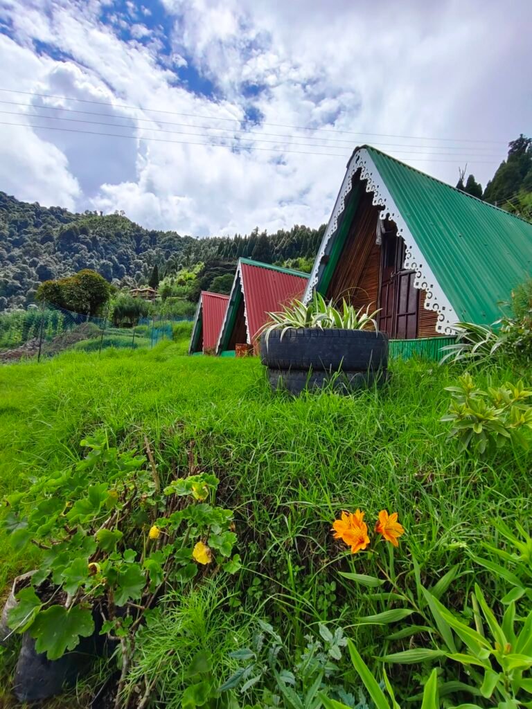 Green A-frame cabin in the sunshine at Gurdum